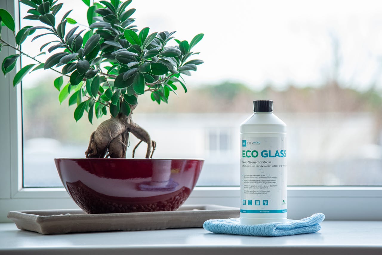 Eco glass cleaner and bonsai plant on a windowsill in a calm indoor setting.